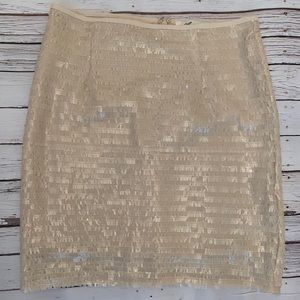 Francescas Sequin Skirt